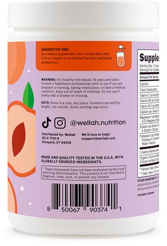 Wellah Creatine Electrolytes Powder (White Peach Nectarine) 30 Servings - Hydration Drink Mix With 3G Of Creatine Monohydrate