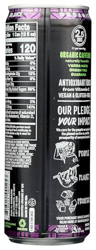 Sambazon Organic Amazon Energy Drink Jungle, Love Acai Berry and Passionfruit (153240245) Passion Fruit, 12 Fl Oz