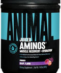 Animal Omega Omega 3 & 6 Supplement With Fish Oil & Flaxseed Oil Plus Juiced Amino Acids Bcaa/Eaa Matrix For Recovery 30 Servings Each