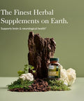 Gaia Herbs Lion'S Mane Mushroom Brain & Nerve Health Support 40 Vegan Capsules