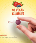Sundance Zinc Gummies for Adults 50mg Mixed Berry Flavor Vegan NonGMO and Gluten Free Supplement