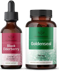 Herbamama Black Elderberry And Goldenseal Kit - Bundle Of Elderberry Extract & 700Mg Goldenseal Root Capsules - Vegan Non-Gmo Sugar & Gelatin- - 2 Pack