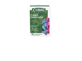 Curad Camouflage Pink and Blue Fabric Bandages 25 Count (Pack of 6)
