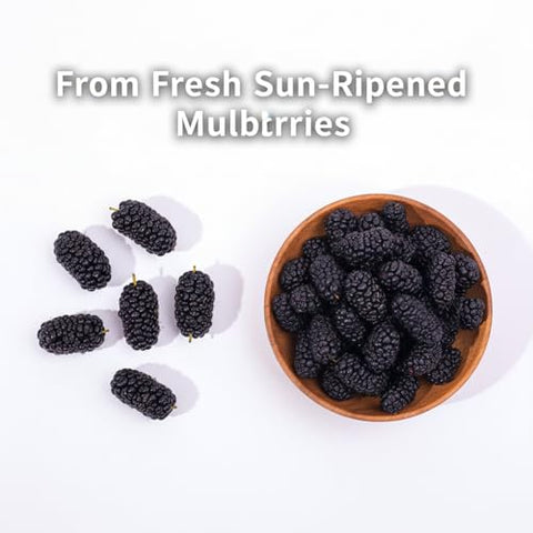 DYBOEDYO Dried Black Mulberries 15.87oz/450gÃ¯Â¼Å’Hot Fruit-Infused/Loose-Leaf Tea (Mulberry)Ã¯Â¼Å’No Sugar Added Black Mulberry, Dried Fruit, Hand Picked Sun-dried for Baking & Smoothies