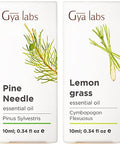 Gya Labs Pine Essential Oils For Diffuser & Lemongrass Essential Oil For Diffuser Set - Aromatherapy Grade Essential Oils Set - 2X0.34 Fl Oz - Gya Labs