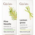Gya Labs Pine Essential Oils For Diffuser & Lemongrass Essential Oil For Diffuser Set - Aromatherapy Grade Essential Oils Set - 2X0.34 Fl Oz - Gya Labs