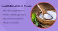 Stevia Reb M powder (RebM Rebaudioside M) 1 ounce 1000 servings Puriva Nutrition Superior to Reb A Reb D and stevia extracts