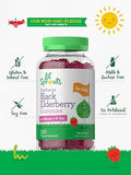 Carlyle Elderberry Gummies For Kids 120 Count