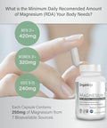 Organixx Magnesium Glycinate and Turmeric Curcumin Bundle 60 Caps Each