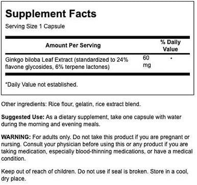 Swanson Ginkgo Biloba Extract 24% 60 Milligrams 240 Capsules