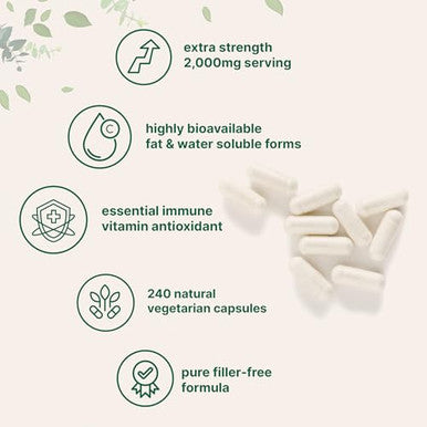 Micro Ingredients Pure Vitamin C 2000Mg 240 Veggie Capsules Highly Bioavailable Fat & Water Soluble Forms Max Potency Antioxidant & Immune Support Supplement Easily Absorbed Non-Gmo Filler Free