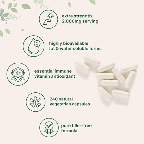 Micro Ingredients Pure Vitamin C 2000Mg 240 Veggie Capsules Highly Bioavailable Fat & Water Soluble Forms Max Potency Antioxidant & Immune Support Supplement Easily Absorbed Non-Gmo Filler Free