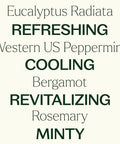 Plant Therapy Eucalyptus Mint Essential Oil Blend (1/ 100% Pure Undiluted Invigorating 10 Ml