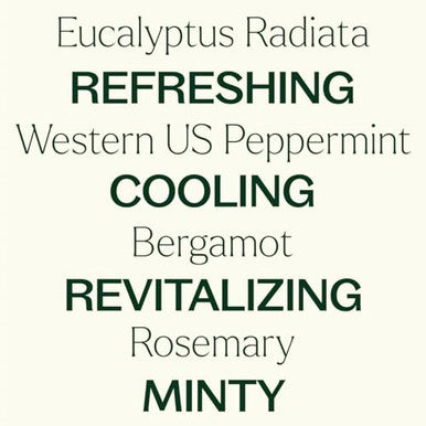 Plant Therapy Eucalyptus Mint Essential Oil Blend (1/ 100% Pure Undiluted Invigorating 10 Ml