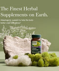 Gaia Herbs Stress Response Supplements Supports Relaxation With Rhodiola Holy Basil Ashwagandha & More 30 Vegan Liquid Phytocapsules (15 Servings)
