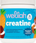 Wellah Creatine For Women (50 Servings) Blue Hawaii - 3G Of Creatine Monohydrate Powder With Dandelion & Cranberry Extract