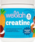 Wellah Creatine For Women (50 Servings) Blue Hawaii - 3G Of Creatine Monohydrate Powder With Dandelion & Cranberry Extract
