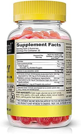Mason Natural Sambucus Elderberry Gummies with Echinacea & Propolis - Antioxidant Immune System Support Supplement with Vitamin C, 60 Gummies