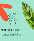 Plant Therapy Eucalyptus Mint Essential Oil Blend (1/ 100% Pure Undiluted Invigorating 10 Ml