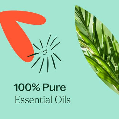 Plant Therapy Eucalyptus Mint Essential Oil Blend (1/ 100% Pure Undiluted Invigorating 10 Ml