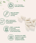 Micro Ingredients Nac With Nad 240 Vegetarian Capsules 1200 Mg Per Serving 2-In-1 N-Acetyl-L-Cysteine With Nicotinamide Adenine Dinucleotide Non-Gmo Cgmp Manufactured