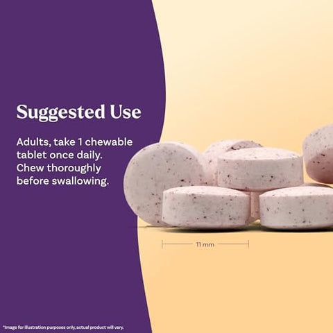 Natrol Methyl Vitamin B12 1000 Mcg 60 Chewable Tablets Lemon Flavored Bioactive B12 Vitamin Supports Cellular Energy Production Brain Health and Metabolism 60 Servings