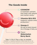 Olly Focus Buddies L'Olly Pops Omega3 Ala B6 B12 Cognizin Kids Supplement Lollipops To Supports Focused Attention & Healthy Brain Function Vegetarian Watermelon Strawberry 25 Count