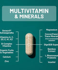 NatureWise Multivitamin for Men + Stress Support + Fulvic Ionic Minerals + Probiotics for Immunity Male Health Digestion + Whole Organic Foods Vegetarian NonGMO 60 Capsules[1Month Supply]