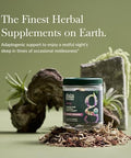 Gaia Herbs Organic Sleep Gummies Sleep Support Ashwagandha Organic Reishi Mushroom Passionflower Usda Organic Nongmo Gluten Vegan 40 Count