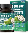 Soursop Graviola Supplement with Sea Moss Moringa Turmeric Black Seed Oil Oregano Ashwagandha 20inOne Herbal extracts for Overall HealthEnhancing Vegan NonGMO 60 Capsules