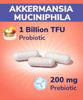 Vitalibre Iron Complex Supplement 60 Capsules & Akkermansia Muciniphila Probiotic 1 Billion Tfu, 30 Capsules