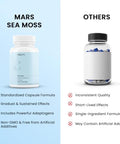 mars by GHC Mars Surge Natural Sea Moss Caps (60N) Packed with 84 Minerals Powered with Black Seed Oil Overall Well Being Pack of 1