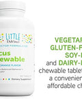 Davinci Labs Focus Chewable Supplement To Support Behavior Brain Health And Immune Health For Kids With Vitamin B6 Folate Vitamin B12 And More Orange Flavor Sugar 90 Tablets