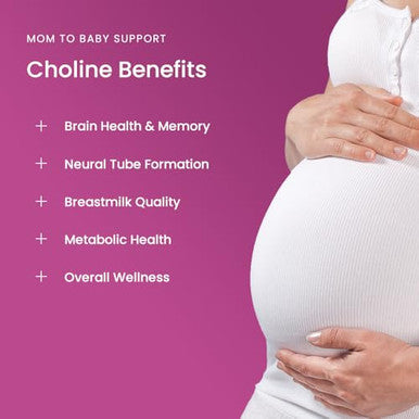 Mother'S Promise Prenatal Choline Supplements 550Mg | 120 Capsules | Supports Baby S Brain Development & Cognitive Function During Pregnancy & Nursing | Ultra Pure Natal Vitacholine Vegan Choline Bitartrate For Women