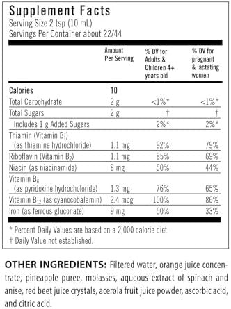 Flora Iron Vegan Liquid Iron Supplement With B Vitamins Red Blood Cell & Energy Support Yeast & Gluten Delicious Fruit Juice Base 15 Fl. Oz. Glass Bottle