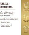Solgar Calcium Citrate With Vitamin D3 240 Tablets Promotes Healthy Bones and Teeth Supports Musculoskeletal and Nervous Systems NonGmo GlutenFree Dairy Kosher 60 Servings