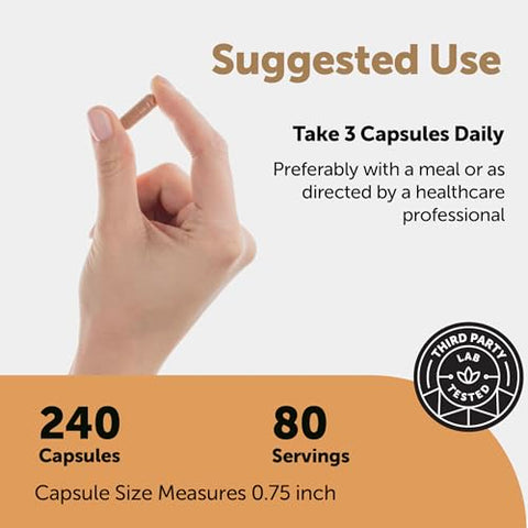 Micro Ingredients Nattokinase 10000 Fu Per Serving (Natural Natto Extract) 240 Vegetarian Capsules With Coq10 Turmeric Aged Garlic & Pine Bark Extract Non-Gmo Lab Tested Cgmp Manufactured