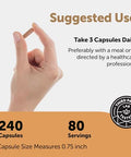 Micro Ingredients Nattokinase 10000 Fu Per Serving (Natural Natto Extract) 240 Vegetarian Capsules With Coq10 Turmeric Aged Garlic & Pine Bark Extract Non-Gmo Lab Tested Cgmp Manufactured