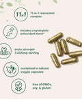 Micro Ingredients Resveratrol Nad Complex 3000Mg For Women & Men 240 Veggie Capsules Nmn Supplement Alternative 11-In-1 Blend With Nad Quercetin Moringa Berberine Grape Seed & Oregano