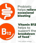 Align Probiotic Bloating Relief + Food Digestion Probiotics For Women And Men Promotes Digestive Health And Helps Support The Metabolism Of Food 28 Capsules (Packaging May Vary)