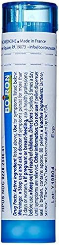 Boiron Bromium 6C 80 Pellet
