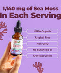 Maryruth's Organic Irish Sea Moss Liquid Drops 1 Fl Oz