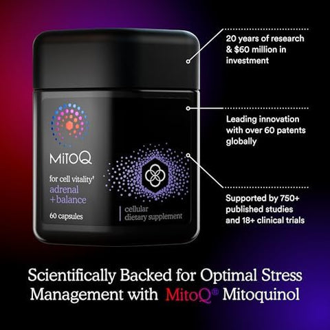Mitoq +Balance Sensoril Ashwagandha Rhodiola & Maritime Support Balanced Cortisol Levels Stress Management Restorative Sleep & Cell Health (60 Capsules)