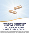 Nature'S Way Acid Ease Digestive Support Supplement For Sensitive Stomachs Marshmallow Root Extract Slippery Elm Bark Digestive Enzymes 180 Vegan Capsules (Packaging May Vary)