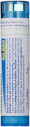 Boiron Rhus Toxicodendron 6C 5Pack Of 80 Pellet Tubes Homeopathic Medicine For Joint Pain