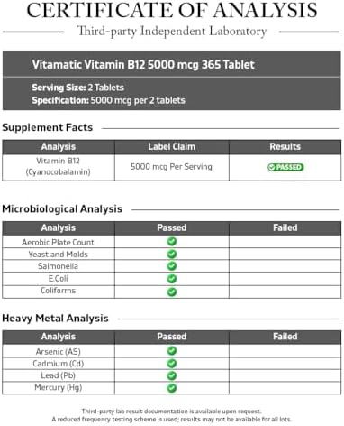 Vitamatic Vitamin B12 5000 mcg 365 Fast Dissolve Tablets Berry Flavor Supports Energy Production and Nervous System Health NonGMO GlutenFree