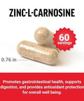 Force Factor Zinc Lcarnosine Capsules To Support Gastric And Digestive Health Digestion And Bloating Supplement Vegan Nongmo No Gelatin 120 Capsules