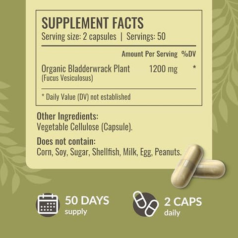 HERBAMAMA Bladderwrack and Sea Moss Kit Bundle of 1200 mg Bladderwrack and 1600 mg Sea Moss with Bladderwrack Capsules Vegan NonGMO GelatinFree 2 Pack