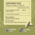 Herbamama Bladderwrack And Iodine Kit - Bundle Of Bladderwrack Capsules & Potassium Iodine Zinc And Selenium Gummies - Vegan Non-Gmo Gelatin- - 2 Pack