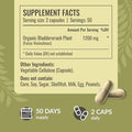 Herbamama Bladderwrack Capsules - 1200Mg Bladderwrack Herb Powder For Energy & Overall Support - Vegan Non-Gmo Sea Iodine Source Supplement 100 Caps